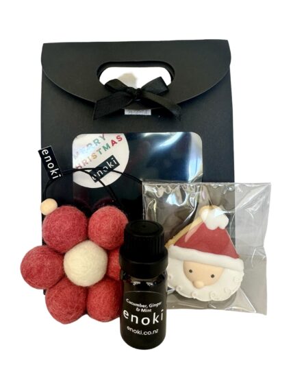 flower freshy xmas gift